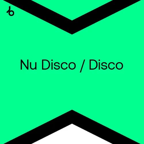 Beatport Top 100 Nu Disco & Disco January 2025